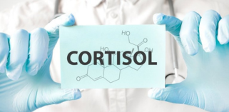 Cortisol: 5 Hábitos que Transformam Sua Saúde Hormonal