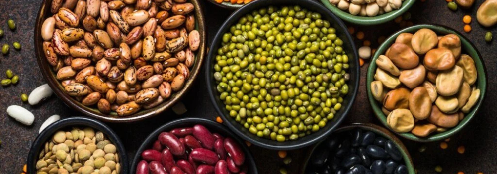 leguminosas e proteínas